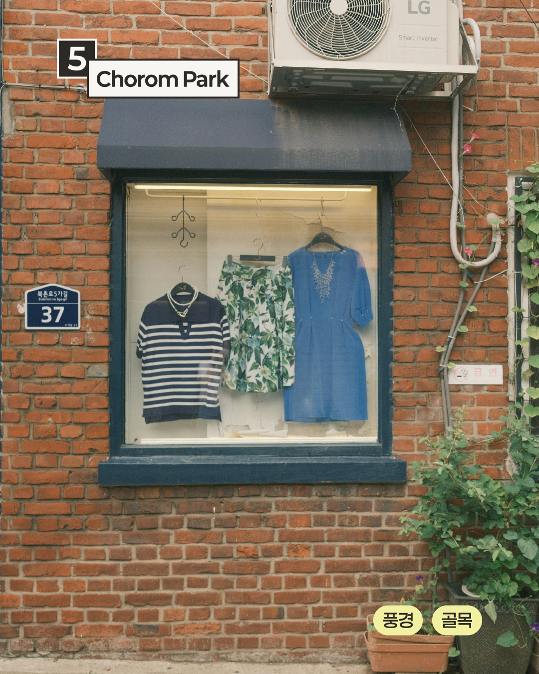 Post image 6