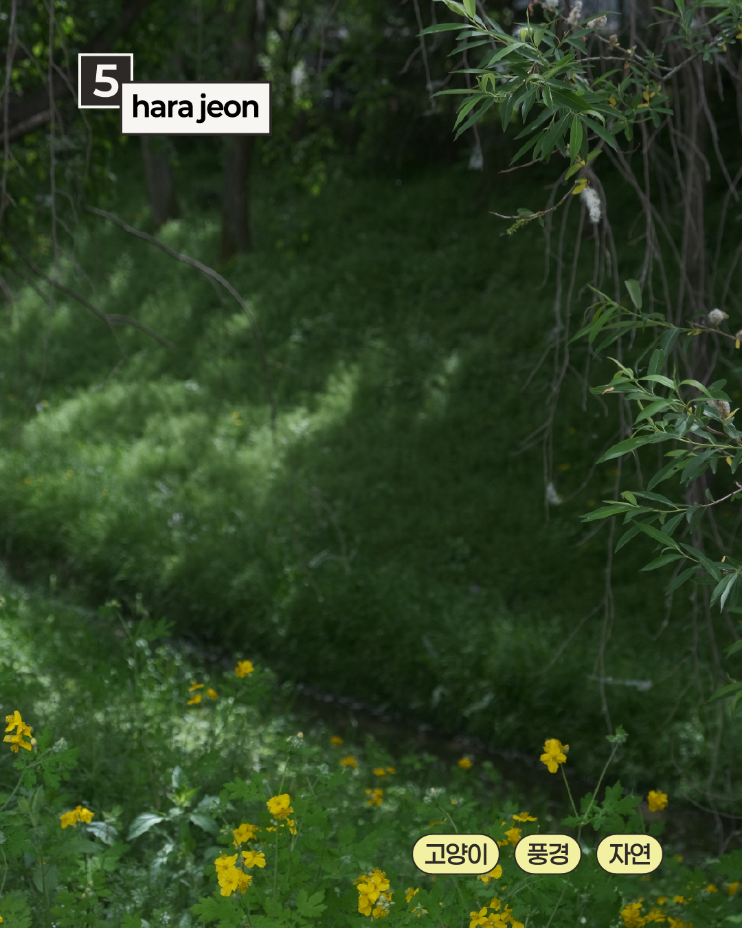 Post image 7