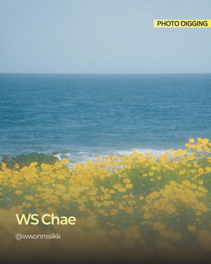Post image 5