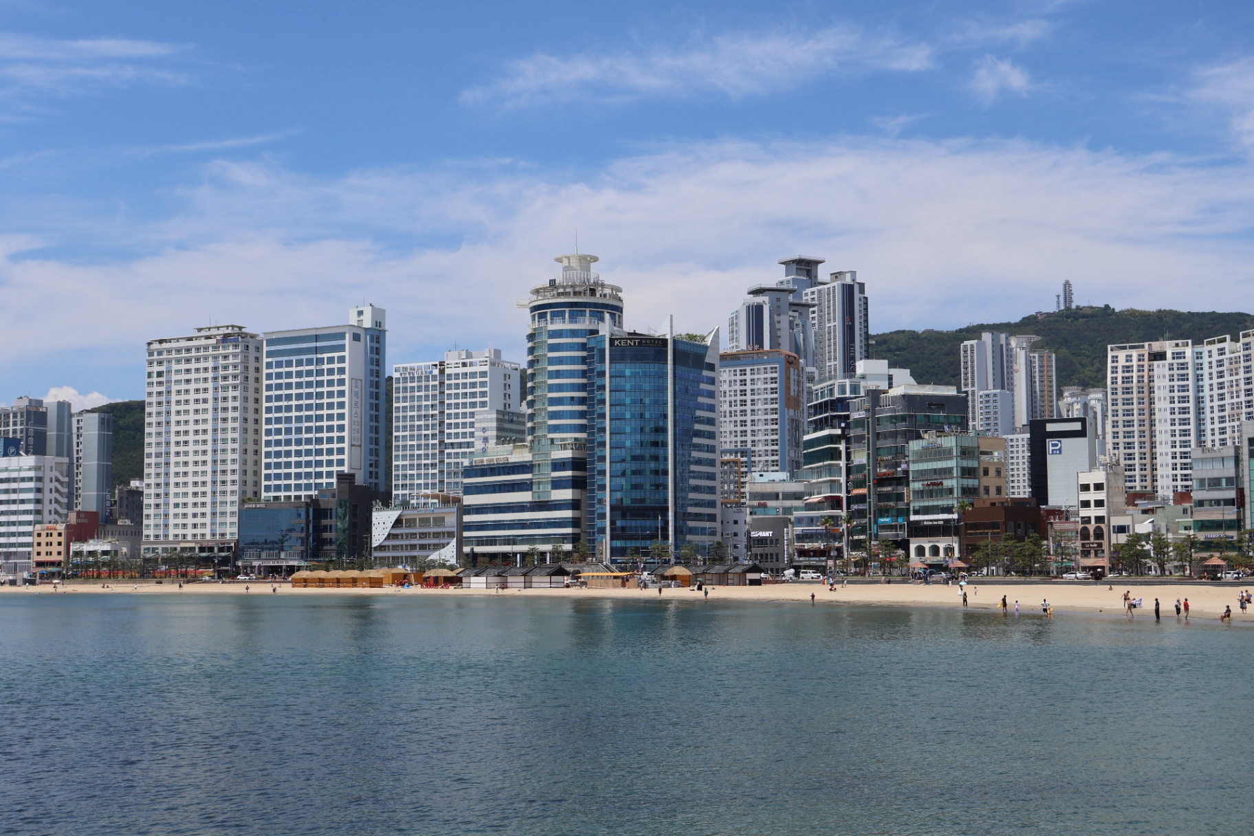 책이 없는 도서관